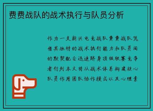 费费战队的战术执行与队员分析